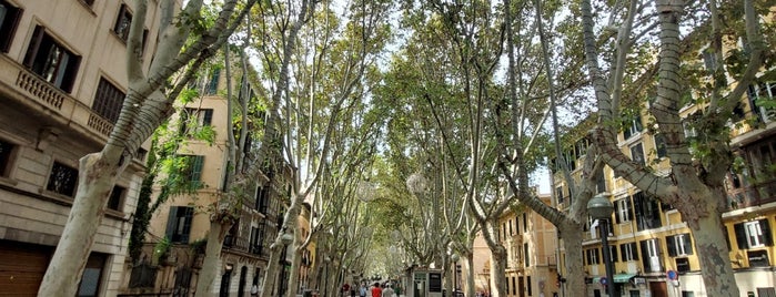 La Rambla is one of Mallorca.