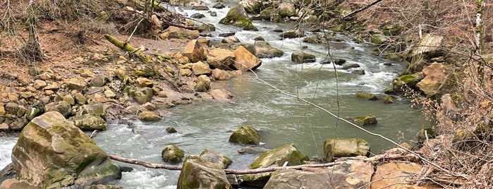 Irreler Wasserfälle is one of Around Rhineland-Palatinate.