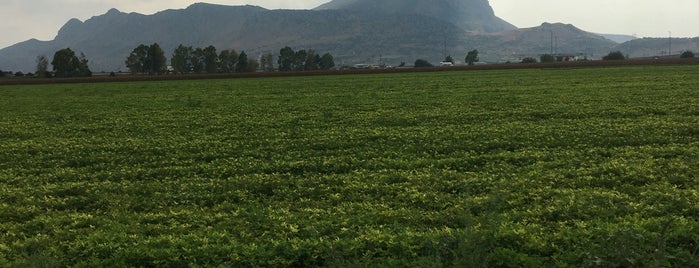 Sirkeli Köyü is one of Adana.