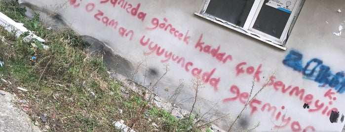 Canavar Düdügü is one of ÇELIK.