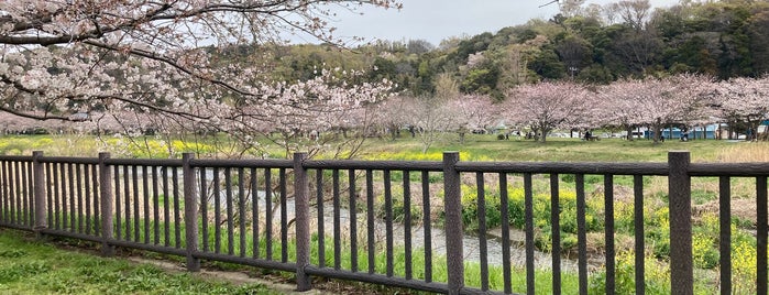 引地川親水公園 is one of 神奈川県の公園.