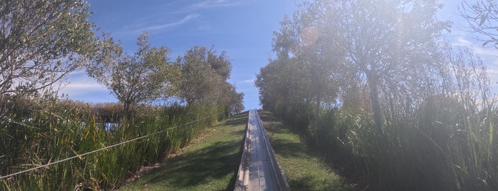 Cool Runnings Toboggan Track is one of Cape Town 🇿🇦.