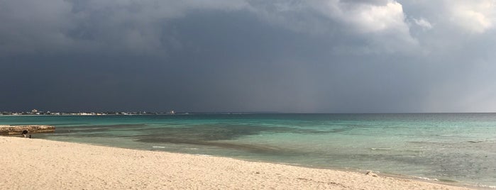 Spiaggia libera di Torre Lapillo is one of สถานที่ที่ Mik ถูกใจ.