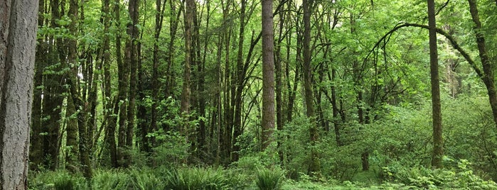 Graham Oaks Natural Area is one of สถานที่ที่ Erin ถูกใจ.
