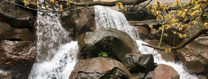 Waterfall Garden Park is one of สถานที่ที่ Erin ถูกใจ.
