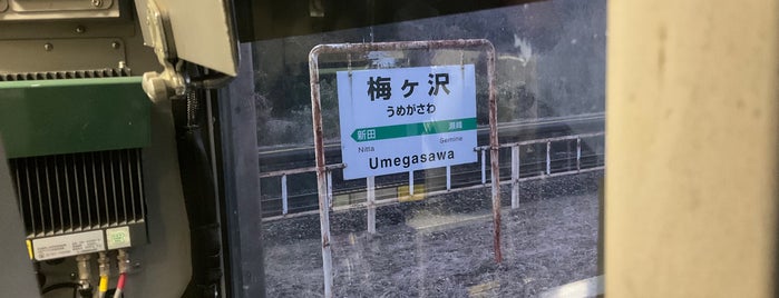 Umegasawa Station is one of 東北本線.