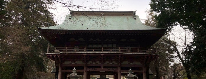東昌寺 is one of 訪問済みの城2.