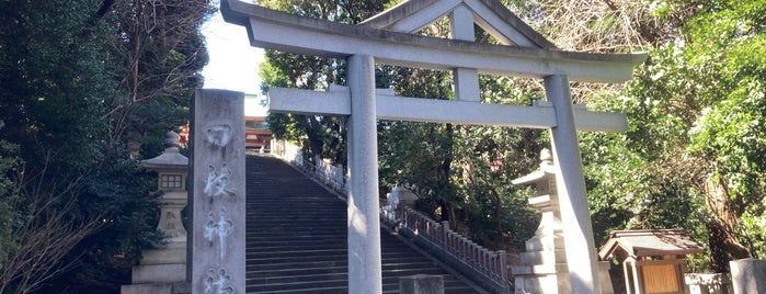 Sanno-Hie Shrine is one of Tempat yang Disukai キヨ.