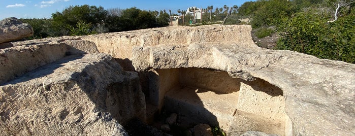 Makronisos Archeological Site is one of Cypruss (Кипр).