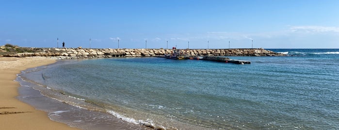 Golden Coast Beach is one of Cypruss (Кипр).