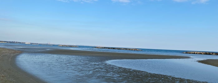 Pyla / Oroklini Beach is one of Larnaca.