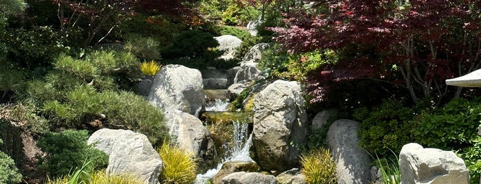 Japanese Friendship Garden is one of Sandy Eggo.