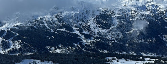 Piste du Chenus (2243m) is one of Verbier- Gstaad- Courchevel- Genève.