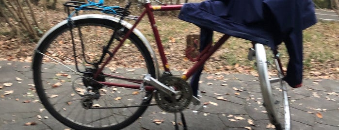 自転車