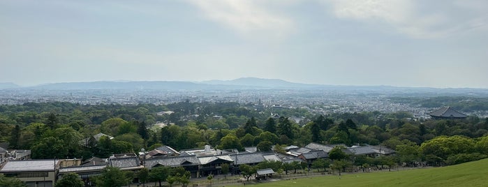若草山山麓 is one of Nara.