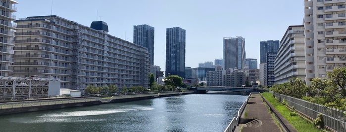 汐枝橋 is one of 東京橋 ～下町編～.