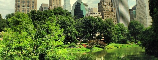 Central Park is one of New York to see.