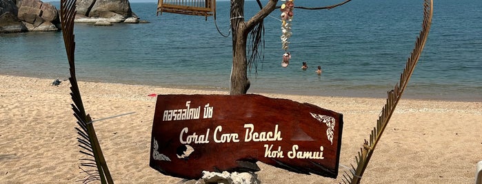 Coral Cove Beach is one of สถานที่ที่ 💥Marinita ถูกใจ.