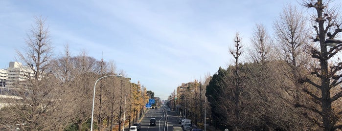 駒沢公園西歩道橋 is one of 世田谷区.