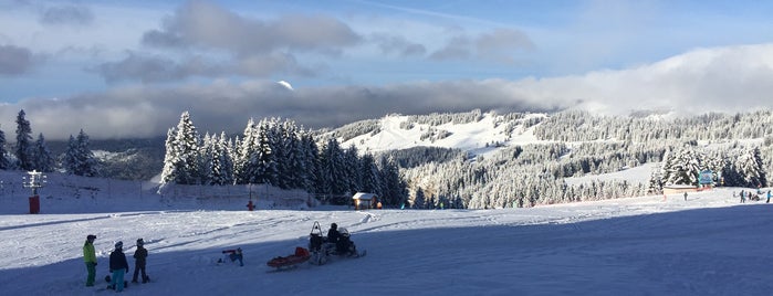 Avoriaz is one of Locais curtidos por Александр.