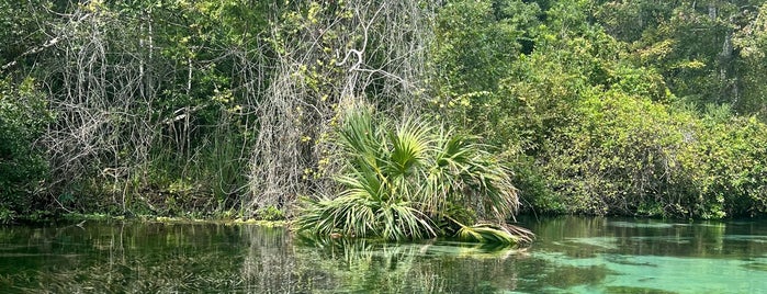 Weeki Wachee Canoe & Kayak is one of Tempat yang Disukai Vallyri.