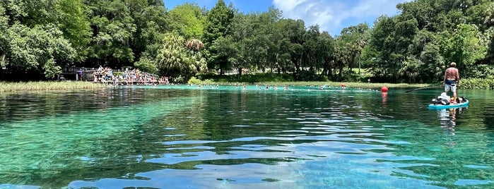 K P Hole Park is one of Florida Springs.