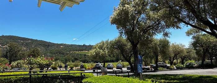 B.R. Cohn Winery is one of California Wine Country.