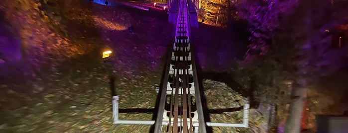 Ripley's Mountain Coaster is one of February in the Smokies.