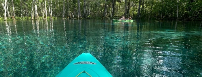 Silver Springs State Park is one of Nord-Florida Panhandle / USA.