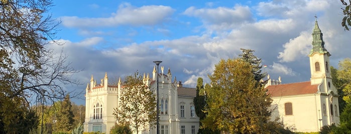 Martonvásár is one of City visited.