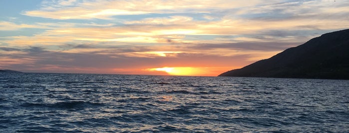 Zlatni Rat is one of Tim'in Beğendiği Mekanlar.