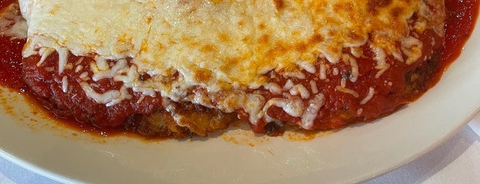 Rosebud Italian Specialities & Pizzeria is one of Top 10 dinner spots in Warrenville, IL.