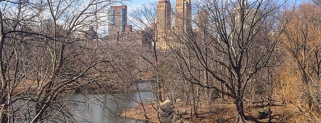 Central Park is one of New York.