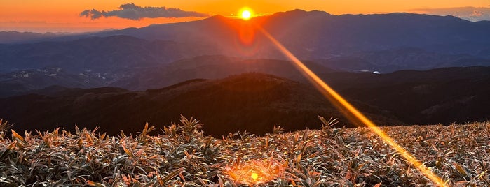 達磨山 is one of Aloha !'ın Beğendiği Mekanlar.