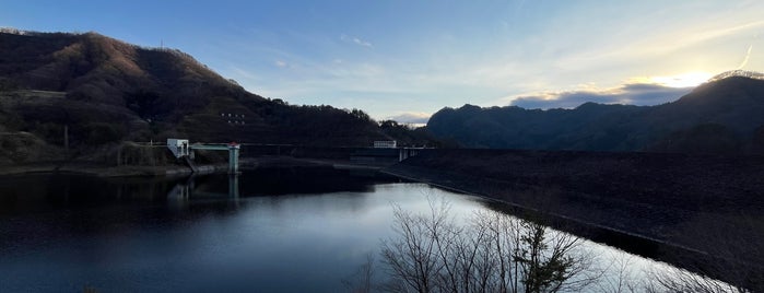 荒川ダム is one of 自然地形.