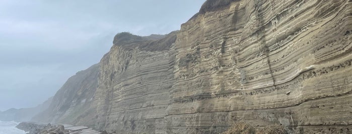 Byobugaura Cliff is one of 千葉県.