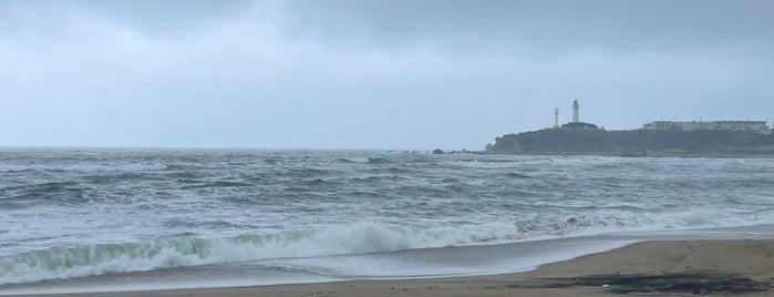 君ヶ浜しおさい公園 is one of 千葉.