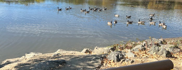 Hellyer Park & Coyote Creek Trail is one of Places for Kids.