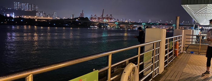 Tsing Yi Ferry Terminus is one of 香港 埠頭.