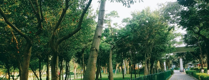 Zhonglun Park is one of Amoy.