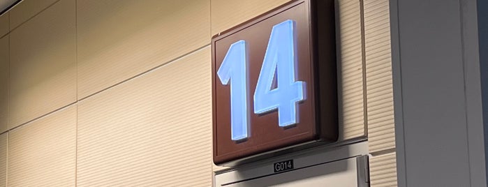 Gate 14 is one of MCO.
