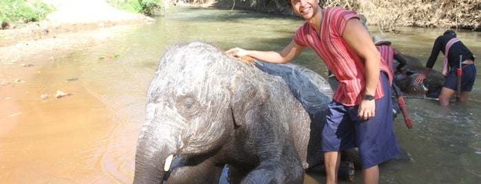 Maerim Elephant Sanctuary is one of Thailand.