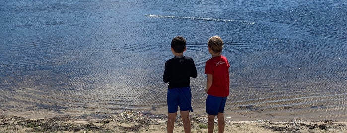 Beaver Pond is one of Home.