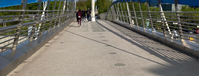 Northumbria Bridge is one of Newcastle's finest.
