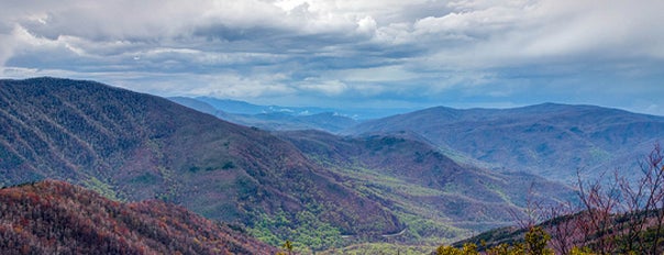 Büyük Smoky Dağları Ulusal Parkı is one of TN To Do 🎶.