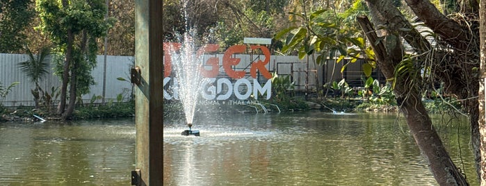 Tiger Kingdom is one of Tempat yang Disukai Mym.