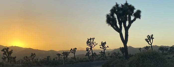 Joshua Tree National Park is one of US - Tây.