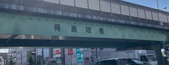 Umejima Overpass is one of 東京陸橋.