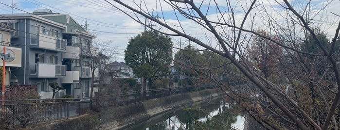逆川緑道（木立の路ゾーン） is one of 越谷市 / Koshigaya.