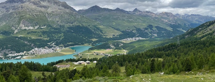 Alpetta Hütte is one of สถานที่ที่ Cy ถูกใจ.